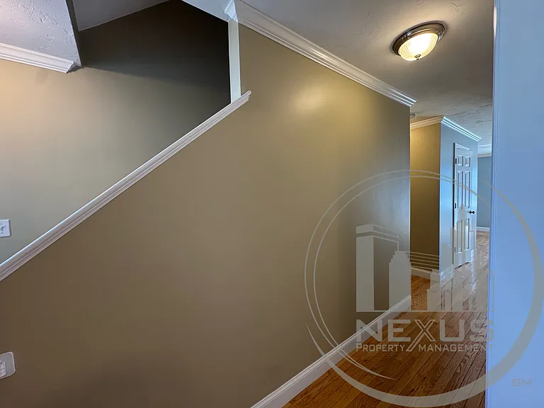 7 Birchbrush Ln — Photo 24