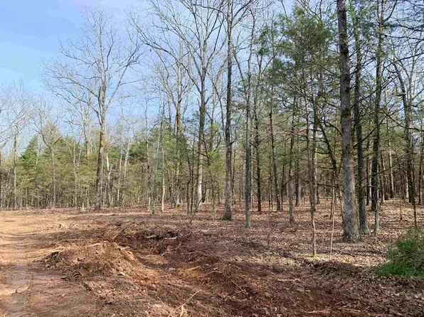 6 Buckeye Ln, Quitman, AR 72131