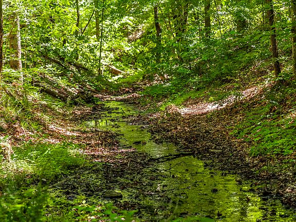 3rd image of 8388 Cub Creek Rd