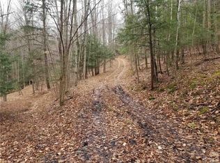 199 Backer Rd, Elmira, NY 14902