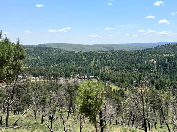 10D Flute Player Way, Alto, NM 88312