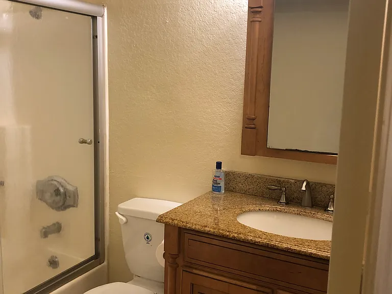 Hall bath, tub & shower