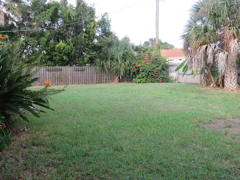 Backyard