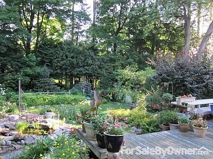 pond view from the deck
