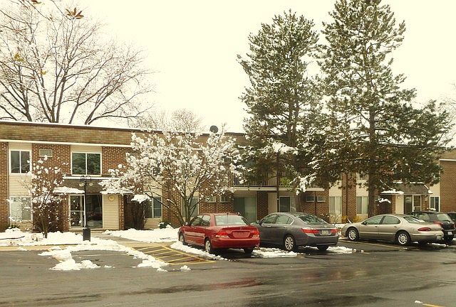 1st image of 1077 Mill Creek Dr APT 103