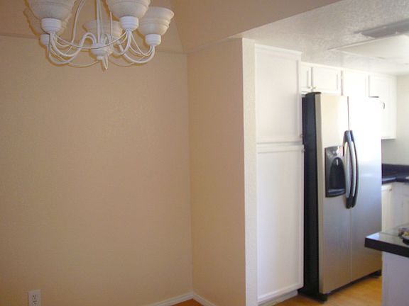 Stainless Steel Fridge!