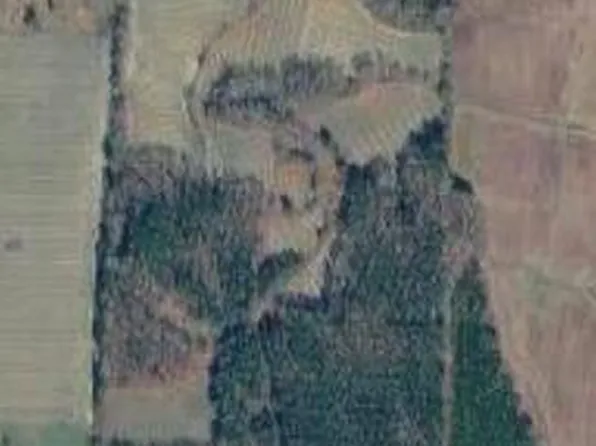 Lot 2 Lonesome Pine Road, Whitakers, NC 27891