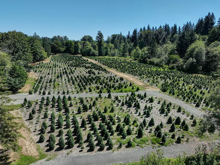 18021 Issaquah Hobart Rd SE — Photo 15