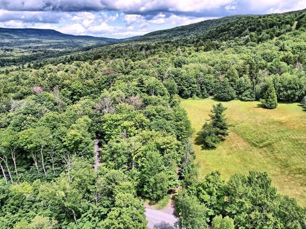 419 Clum Hill Rd, Elka Park, NY 12427