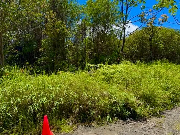 16-1495 Io Kea Rd Lot 3650, Kurtistown, HI 96760