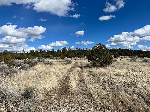 Candy Kitchen Rd, Ramah, NM 87321 | MLS #1031209 | Zillow