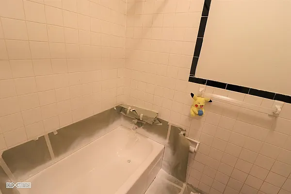 Rented by Citi Habitats | media 14