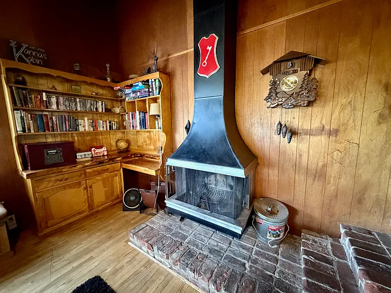 Fireplace and built in shelving.