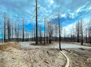 7350 S View Dr, Grizzly Flats, CA 95636