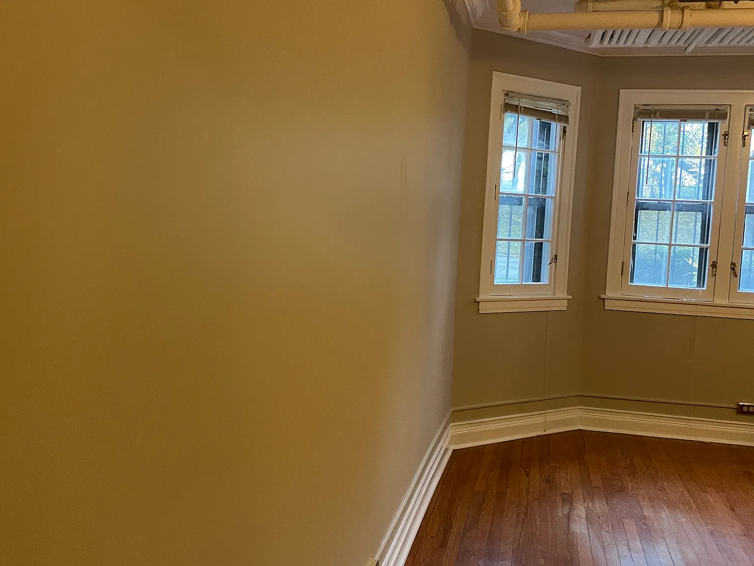1 bed, 800 sqft, $1,850 — Photo 4