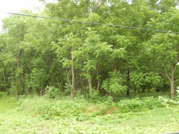 898 Sandy Bottom Rd, Elkton, VA 22827