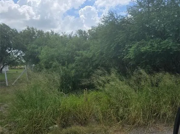 0 Mile 2 1/2 St, Weslaco, TX 78596