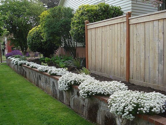 Professionally Landscaped Yard