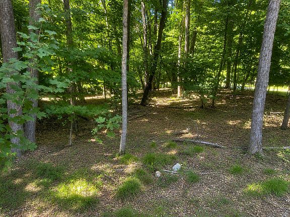 2nd image of 48722 428th St