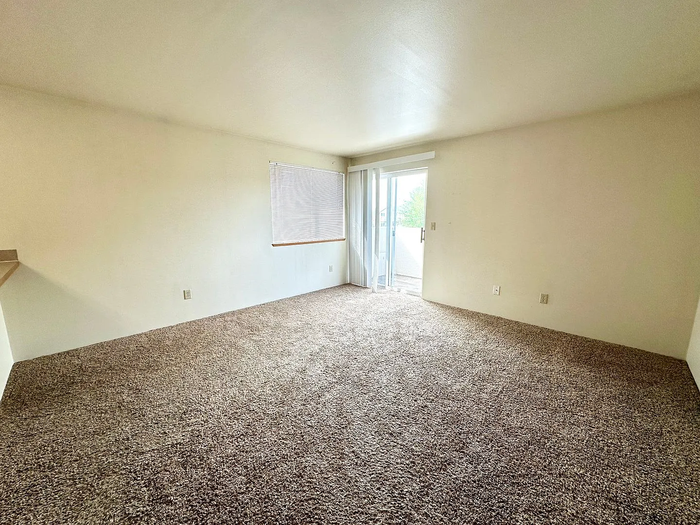 Austin- 808 Juniper — Photo 3