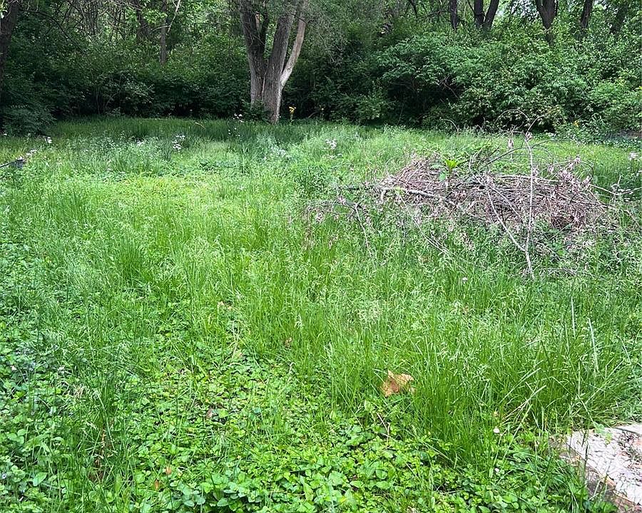 2nd image of 51 S Schlueter Ave