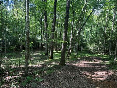 Bennington Dr, Blairsville, GA, 30512