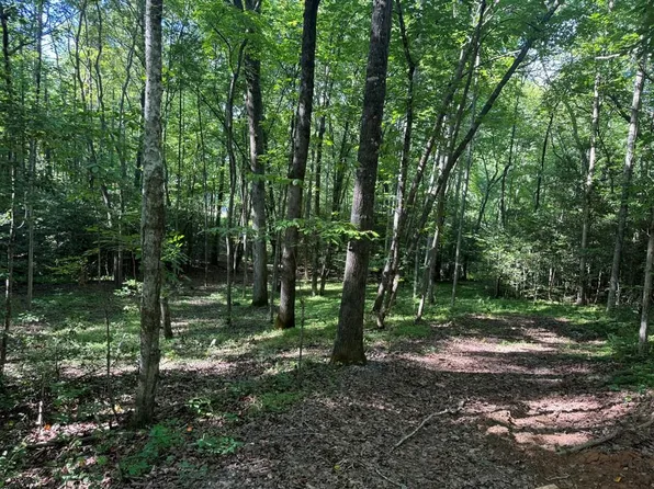 Bennington Dr, Blairsville, GA 30512