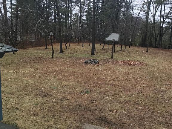 Back yard apple orchard!  