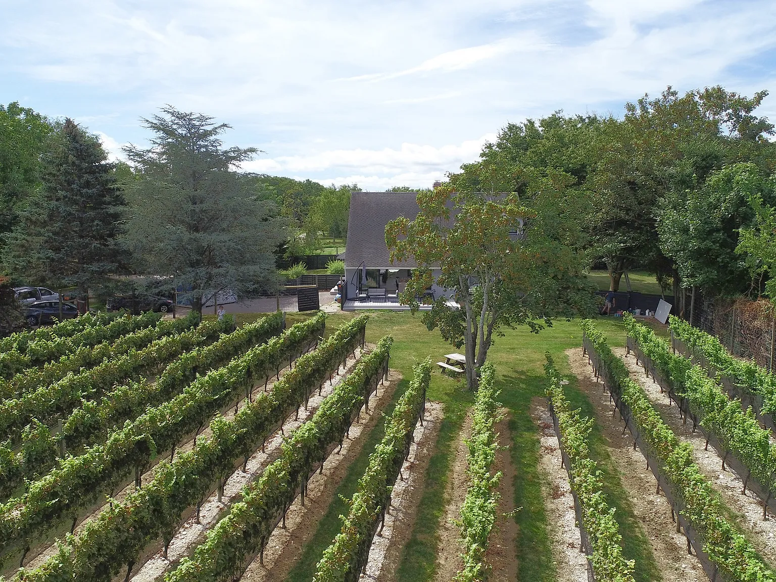 Orient Village private Modern Farmhouse with Vineyard and Pool — Photo 3