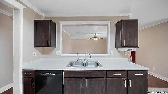 10842 Bentsen Palm — Photo 14