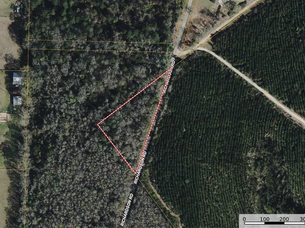 Richardson Rd, Molino, FL 32577