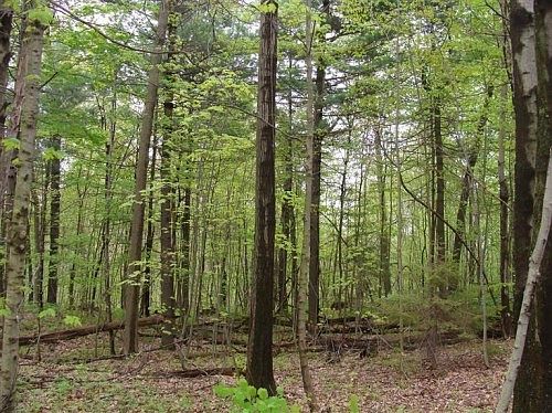 1st image of 45351 County Road 374