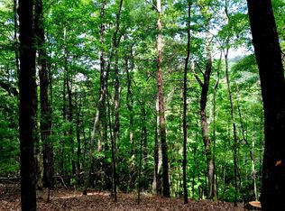 Goldmine Dr, Ellijay, GA 30536