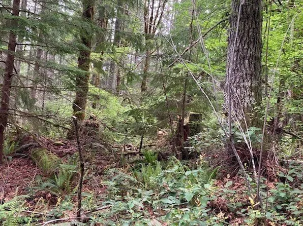 301 N Yellowhawk Road, Hoodsport, WA 98548