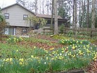1st image of 1411 Riverview Dr