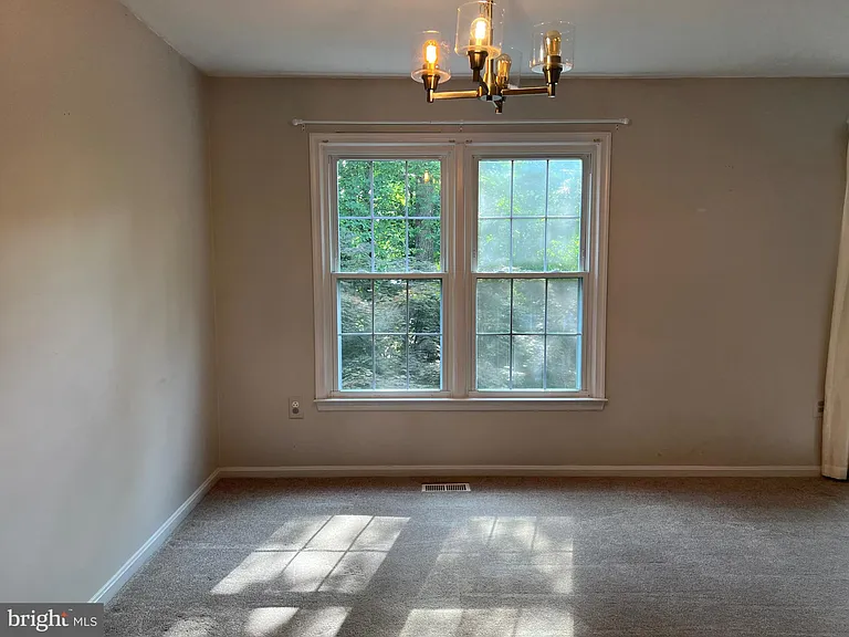 7384 Jiri Woods Ct — Photo 11