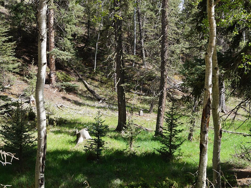 1st image of 1210 E Bison Creek Trl