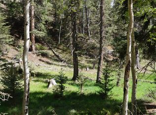 1210 E Bison Creek Trl, Divide, CO 80814