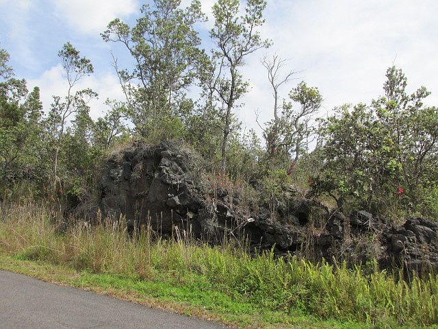 2nd image of Orchid Pkwy Lot 1