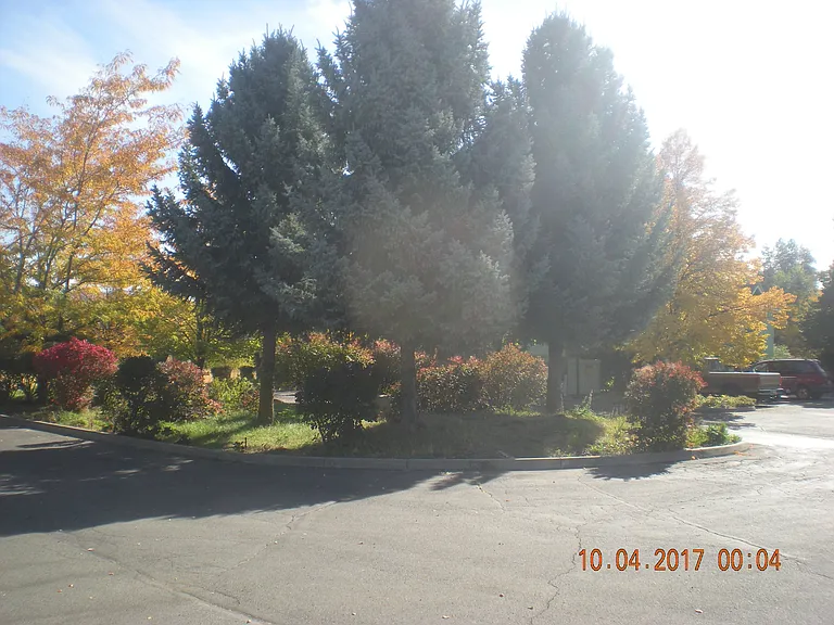 209 Canyon St — Photo 6