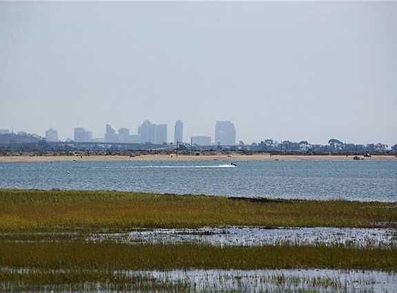 Views of Bird Sanctuary