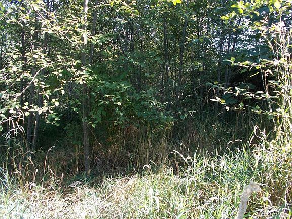 5th image of 127 Tanglewood Dr