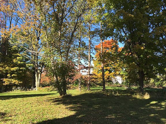 The back yard in Autumn.