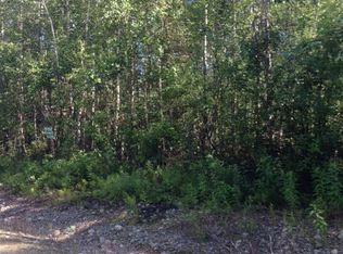 19852 E Limitcatch Ave, Talkeetna, AK 99676
