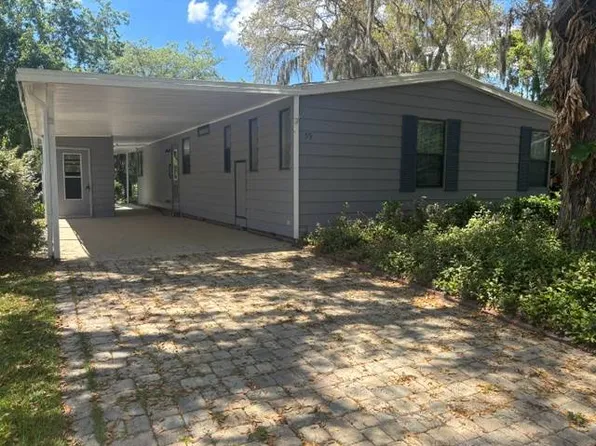 59 Horseshoe Falls Dr, Ormond Beach, FL 32174