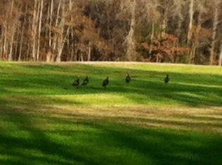 County Road 135, Jack, AL 36346