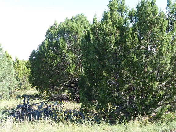 5th image of 18 County Road 3168