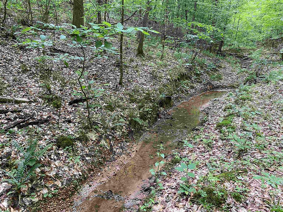 28th image of this home