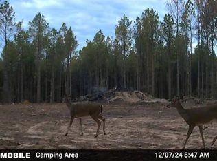 19.43 Big Rocks Rd, Antlers, OK 74523