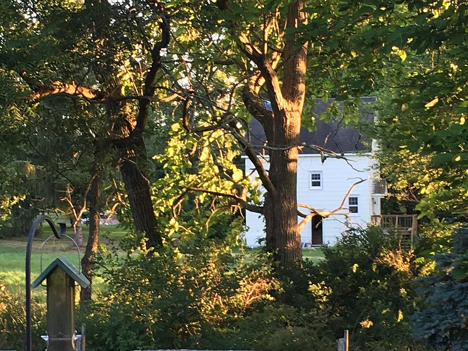 2nd image of 111 Saddle Brook Dr